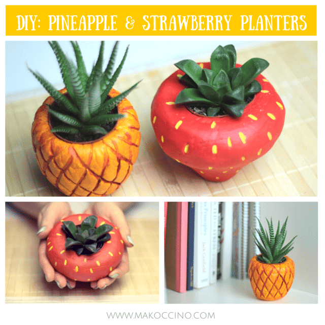 DIY: Fruchtige Blumentöpfe für Sukkulenten