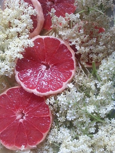 Grapefruit- und Holunderblüten, frisch und aromatisch, ideal für hausgemachtes Gelee, natürliche Zutaten, sommerliche Frische, handgemacht, kulinarische Spezialität.