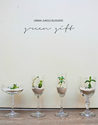 Urban Jungle Bloggers #4 | Green Gift