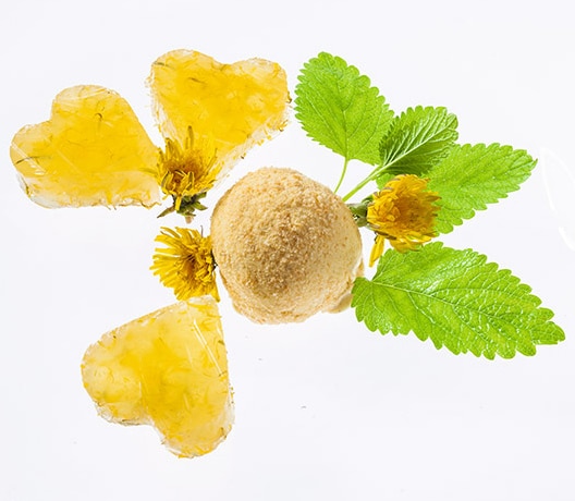 Vanilleeis mit Löwenzahn-Blüten-Gelee