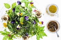 Wildkräutersalat