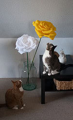 XXL Blumen aus Papier
