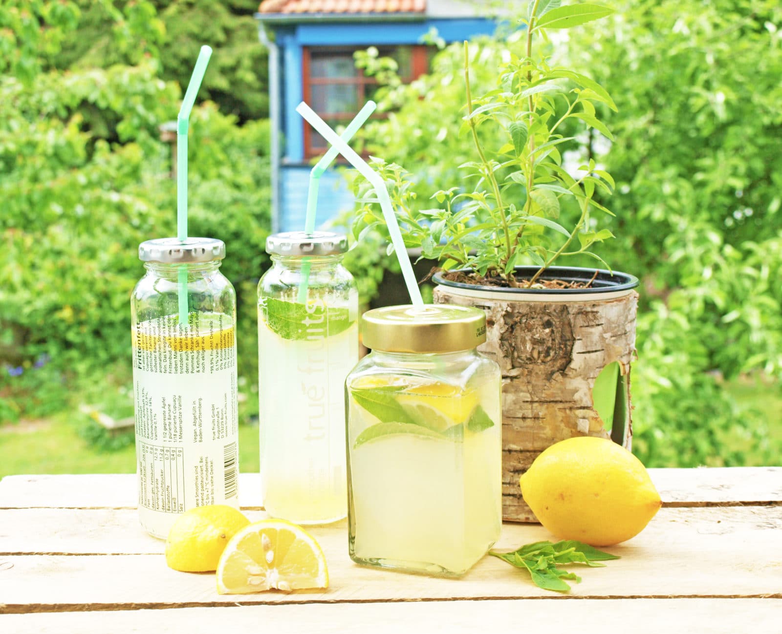 Zitroneneis und Limonade mit Zitronenverbene
