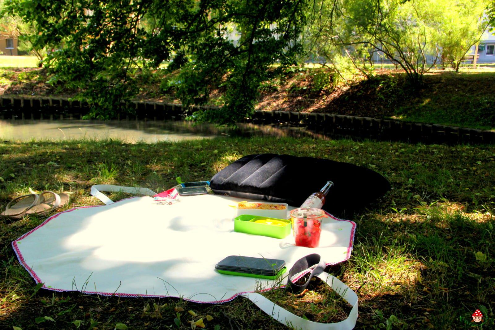 Picknick(-Decken-)Tasche