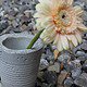 Die Outdoor-Beton-Vase