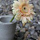 Die Outdoor-Beton-Vase