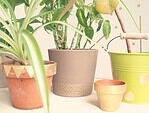 DIY Blumentöpfe gestalten