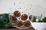 DIY-Naturdeko: Harzbild mit Holzeinschluss