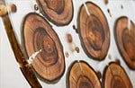 DIY-Naturdeko: Harzbild mit Holzeinschluss