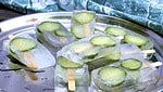 Gin Tonic Popsicles