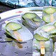 Gin Tonic Popsicles