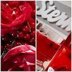 Rosen sind rot…Johannisbeeren auch: Johannisbeermarmelade mit Rosenlikör