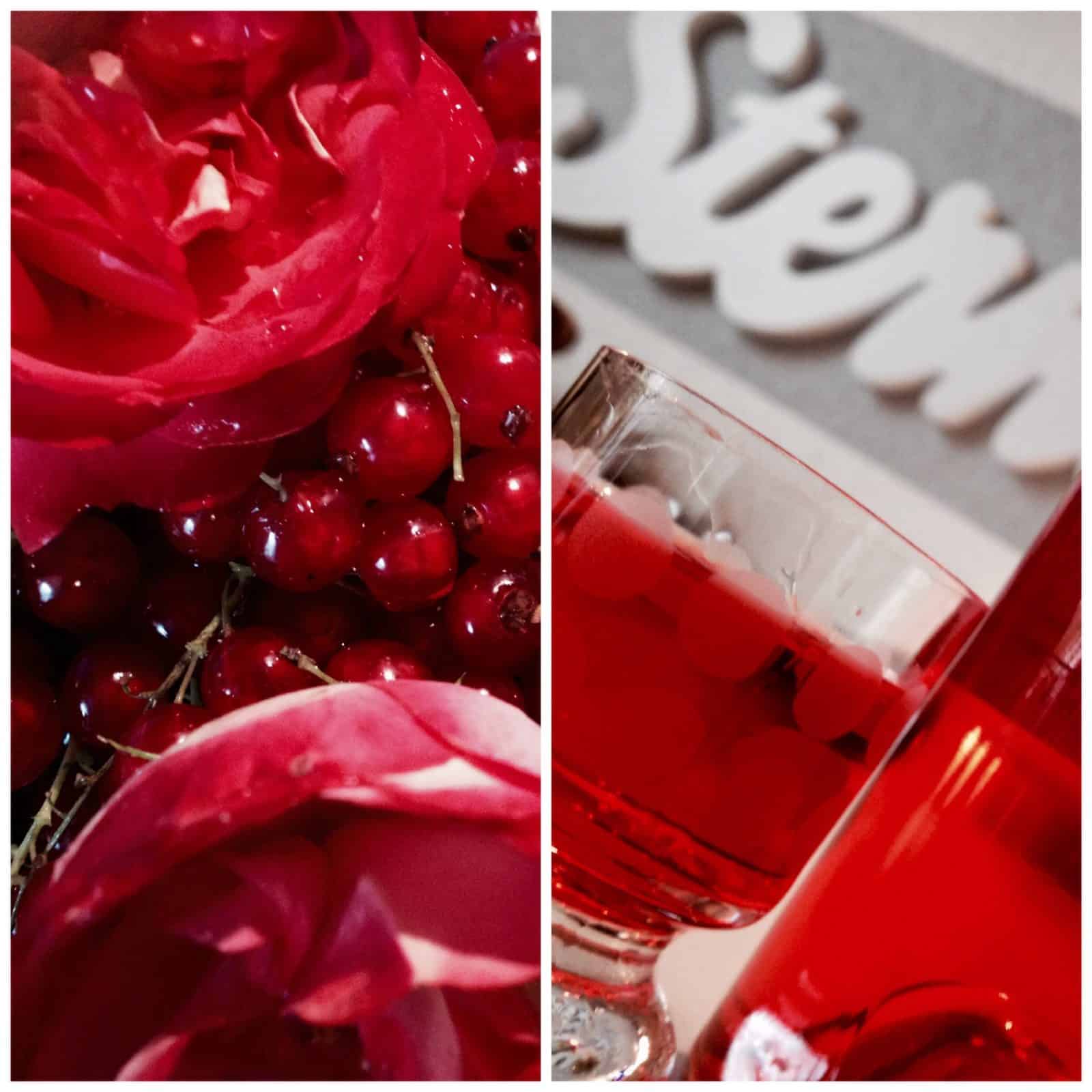 Rosen sind rot…Johannisbeeren auch: Johannisbeermarmelade mit Rosenlikör