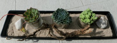 Schnelle Dekoration für Terrasse oder Balkon