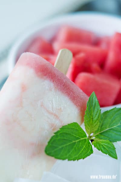 Wassermelone Joghurt Eis