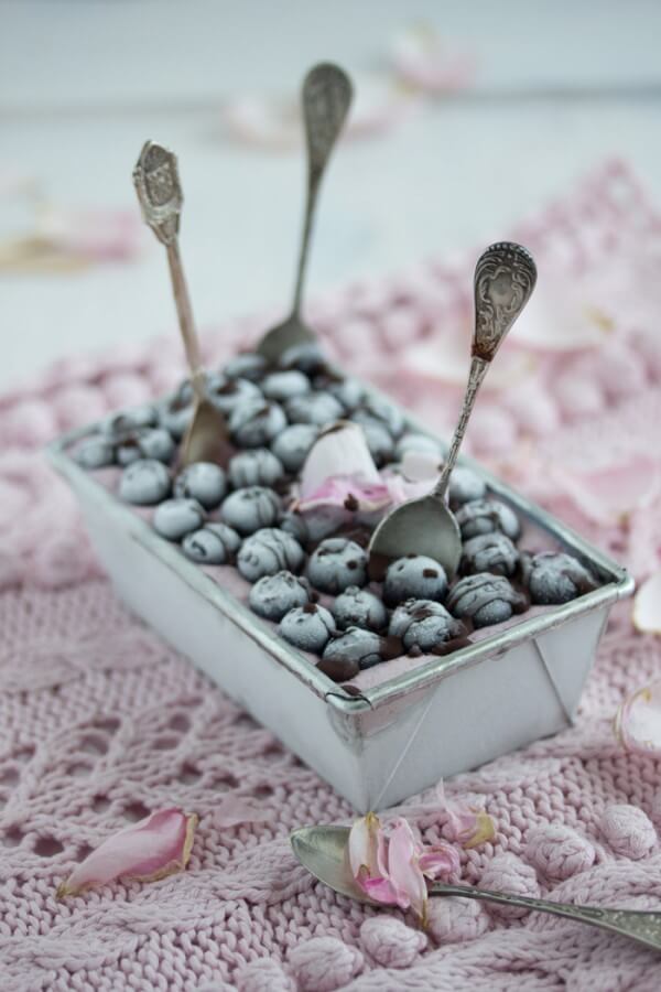 „blueberry chocolate ice cream!"