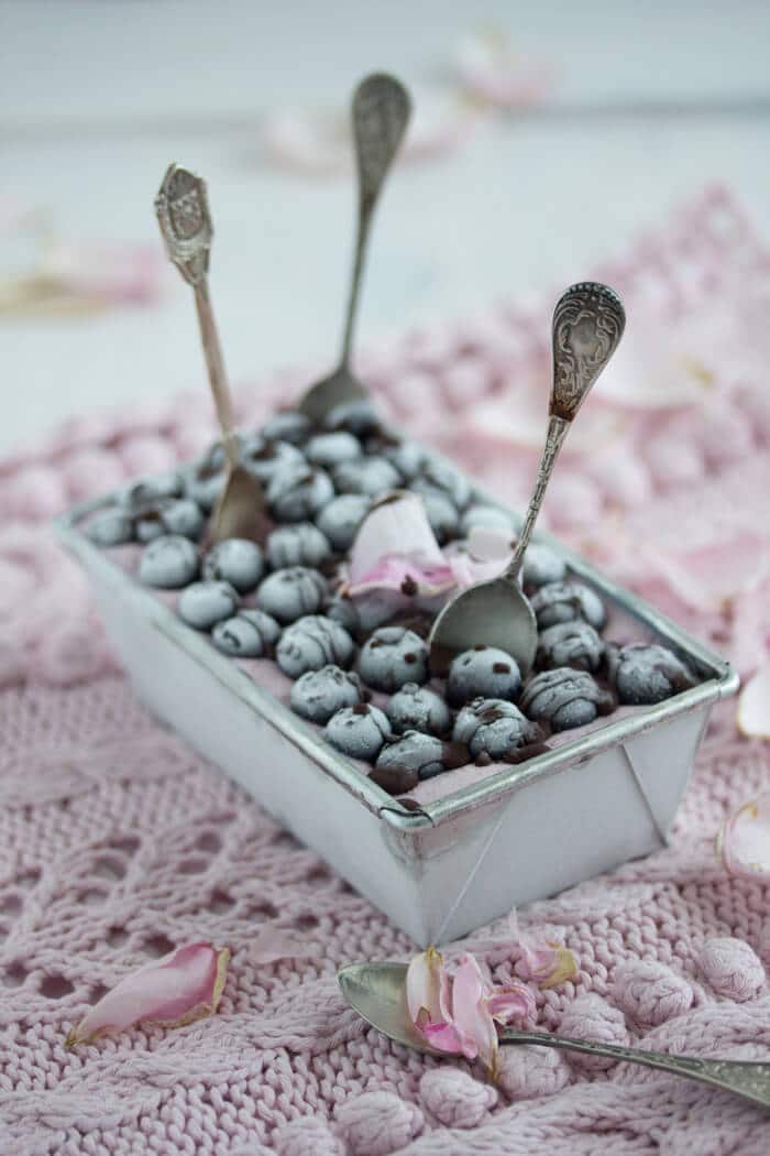 „blueberry chocolate ice cream!“