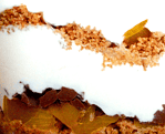 Schwedisches Tiramisu