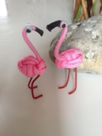 Ein Flamingo kommt selten allein