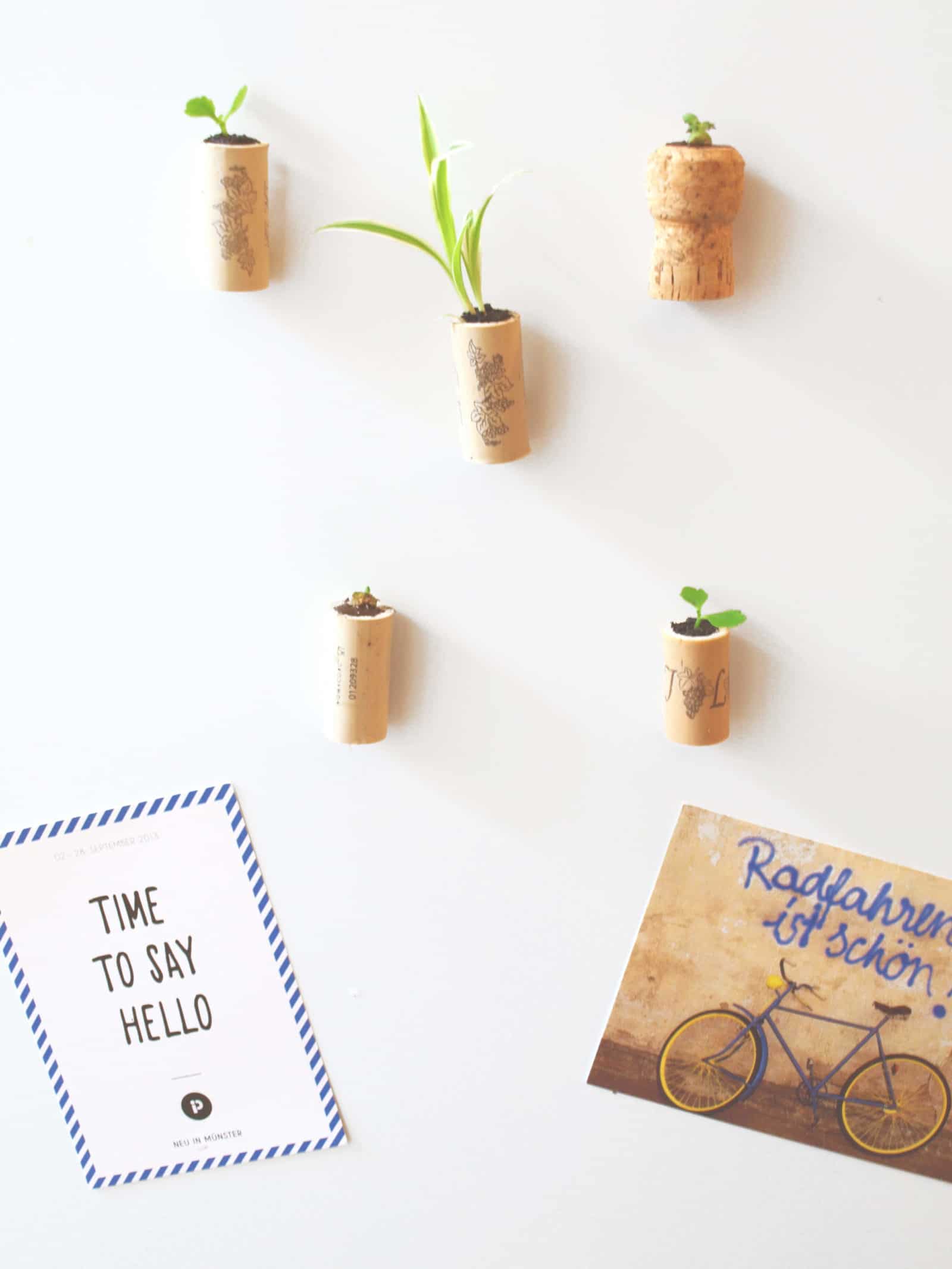 DIY Mini-Garten (Kork-Magnete)