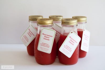 picotee-wassermelonen-himbeer-limonade