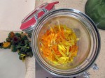 Ringelblumenöl selbst gemacht
