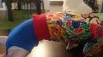 Sarihose Sommer