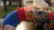 Sarihose Sommer