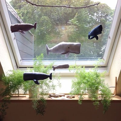 Wale am Küchenfenster