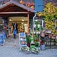 eingang_herbst_6