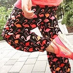 Flamingobeine