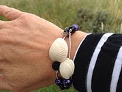 Ein buntes Muschelsammelsurium,…