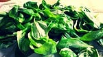 veganes Pesto aus Basilikum (Art genovese)