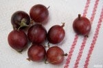 Stachelbeerkuchen mit Mürbeteigboden und Streuseln