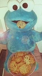 Wir wollen Kekse! American Cookies vegan