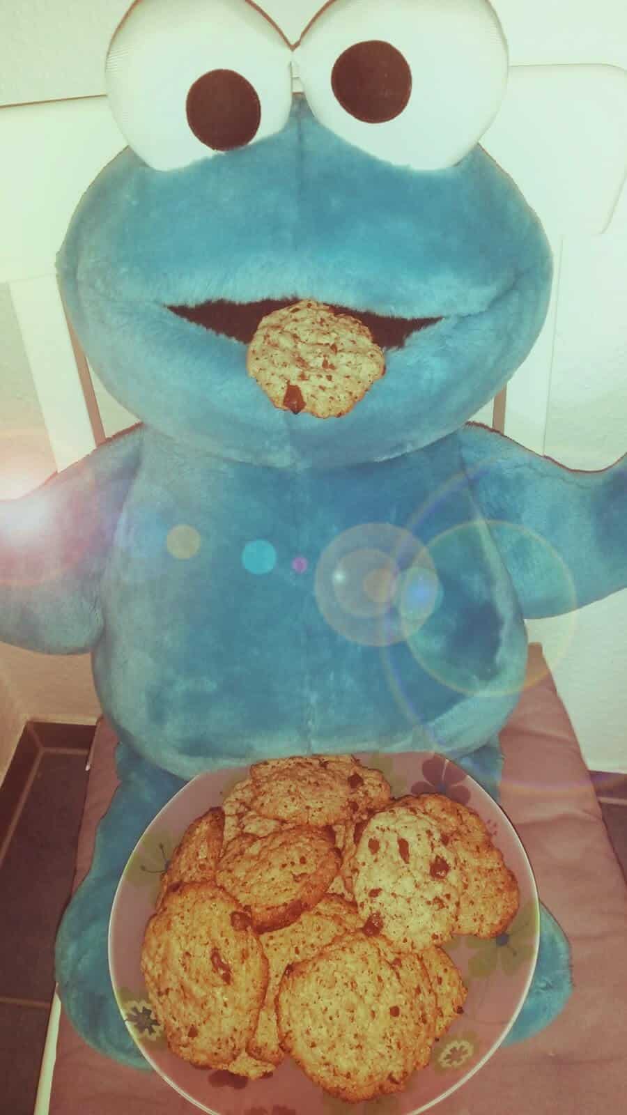 Wir wollen Kekse! American Cookies vegan