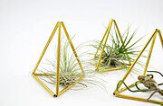 DIY Himmeli aus Messing