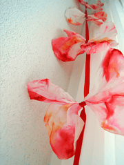 Experiment: Schmetterlings-Farben