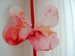 Experiment: Schmetterlings-Farben