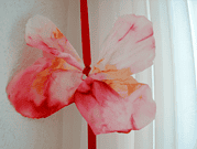 Experiment: Schmetterlings-Farben