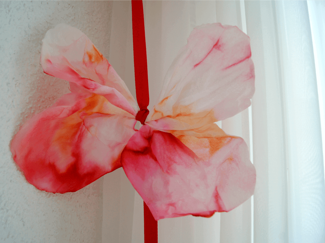 Experiment: Schmetterlings-Farben