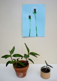 UJB #7 | Plants & Art