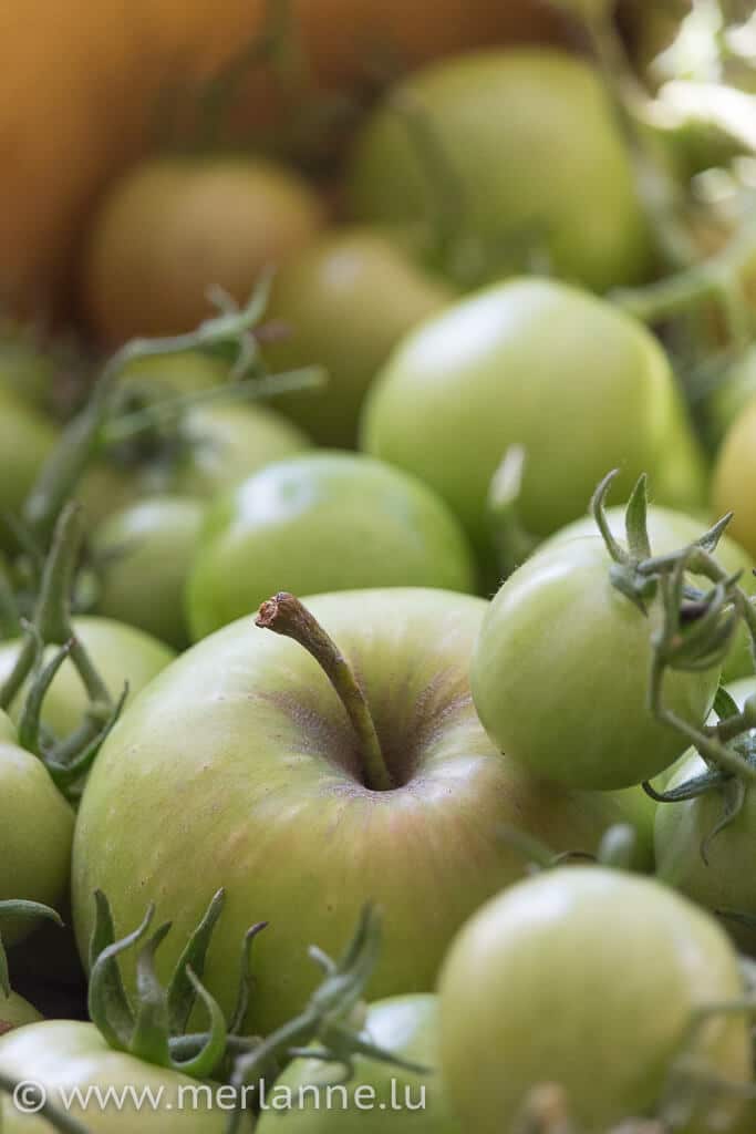 Grüne Tomaten