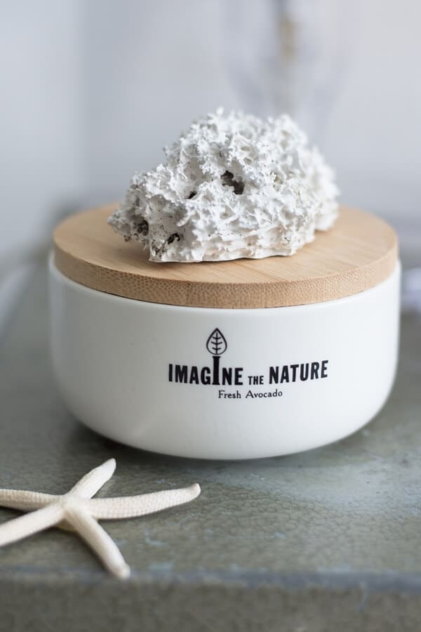 DIY: Deko-Korallen basteln aus Naturschwamm und Moos