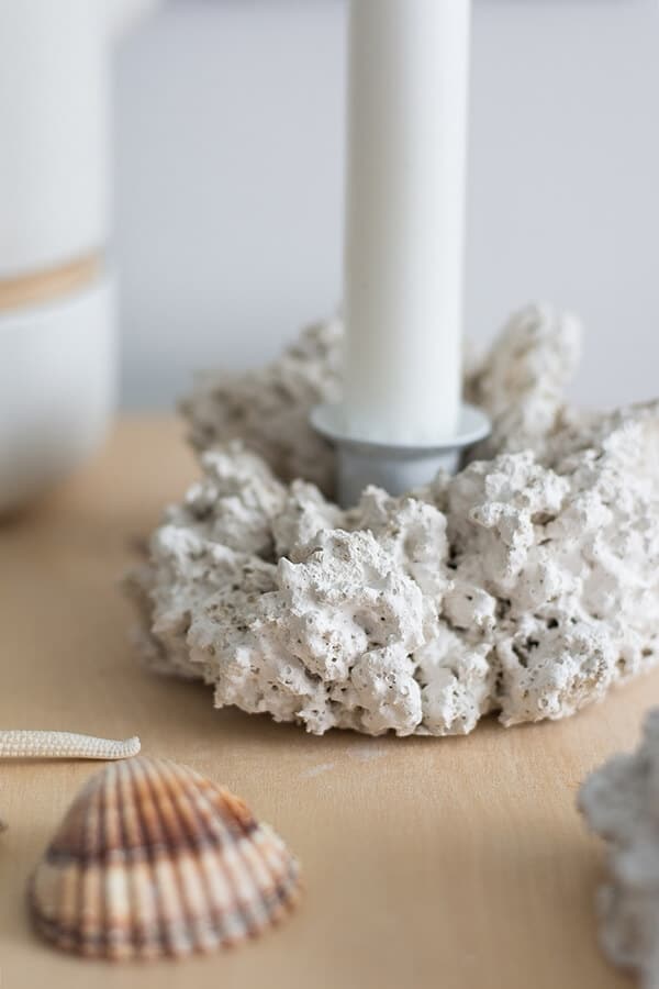 DIY: Deko-Korallen basteln aus Naturschwamm und Moos