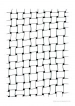 s/w Poster & Prints