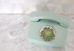 Sukkulente im Telefon