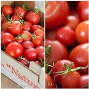 Tomaten selber trocknen