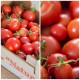 Tomaten selber trocknen