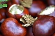 Herbstgold